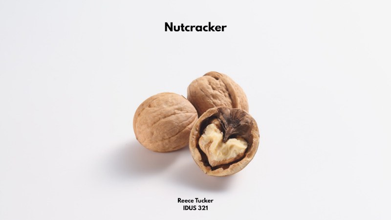 Aircraft Interior Comfort System — Reece Tucker